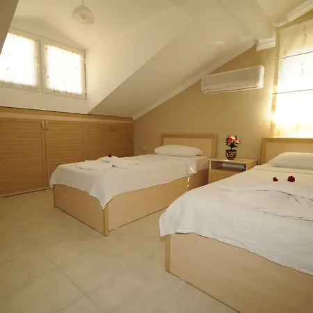 Pegasus & 올루데니스